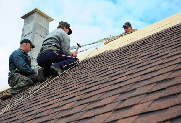 Roof Gutter Cleaning in Dumas, AR